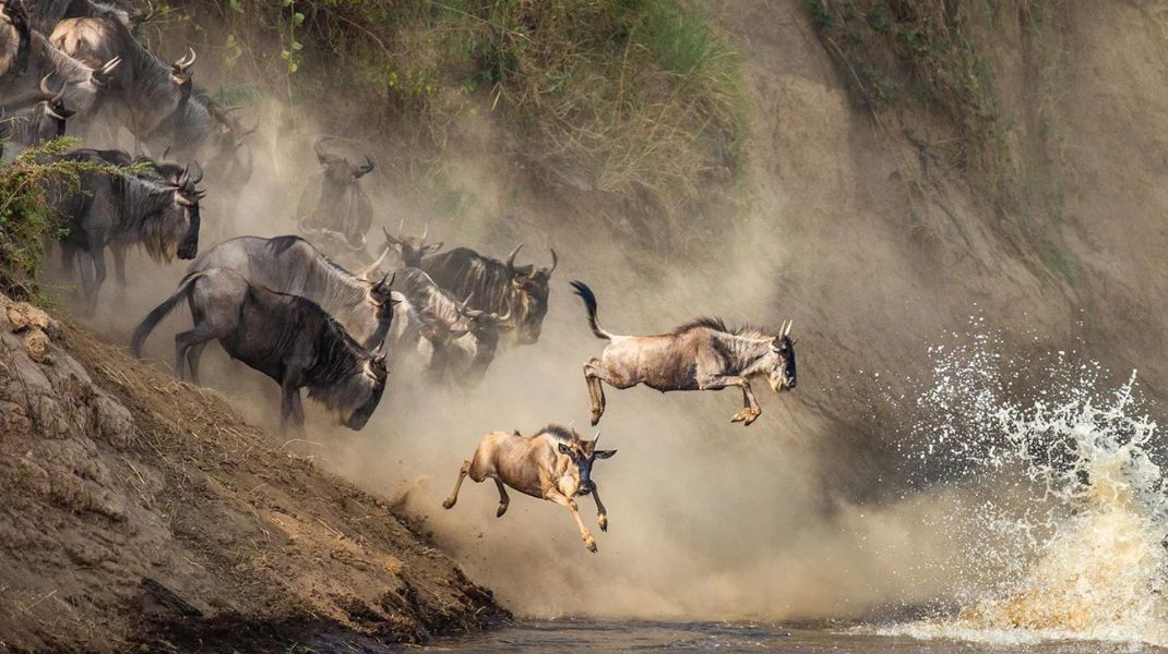 Serengeti Safari Tanzania
